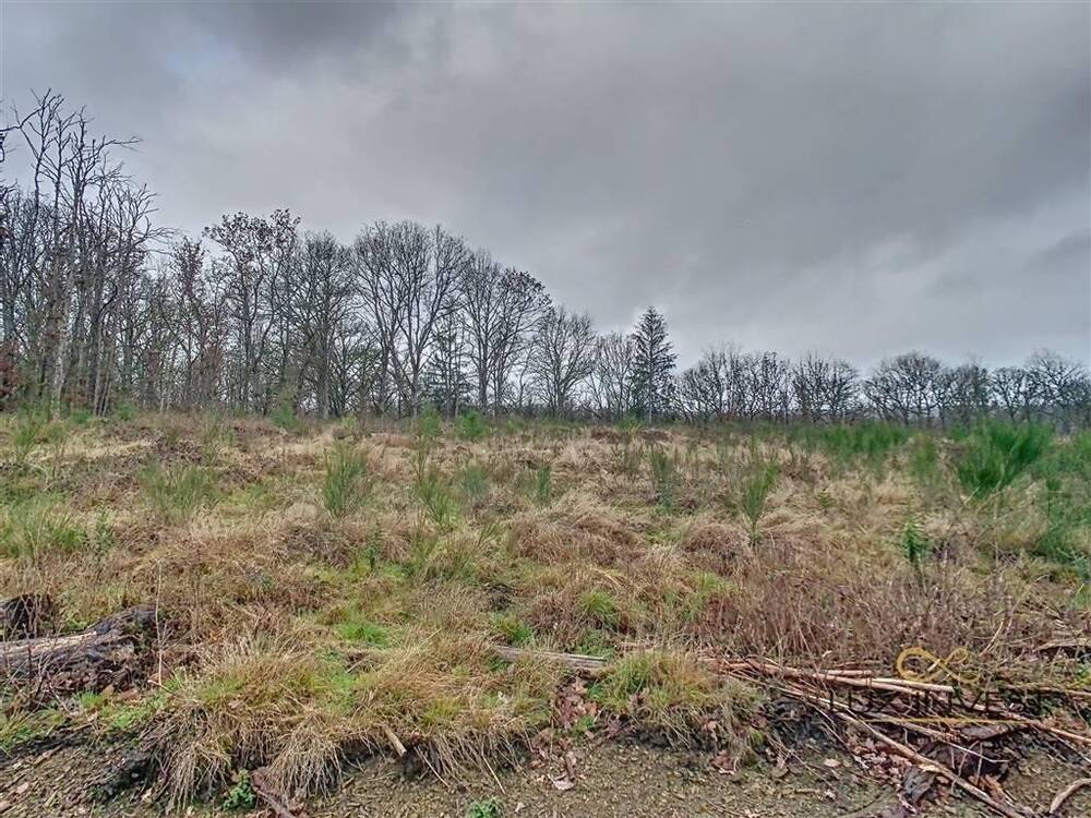 Terrain à vendre à Somme-Leuze 5377 249500.00€  chambres m² - annonce 5986