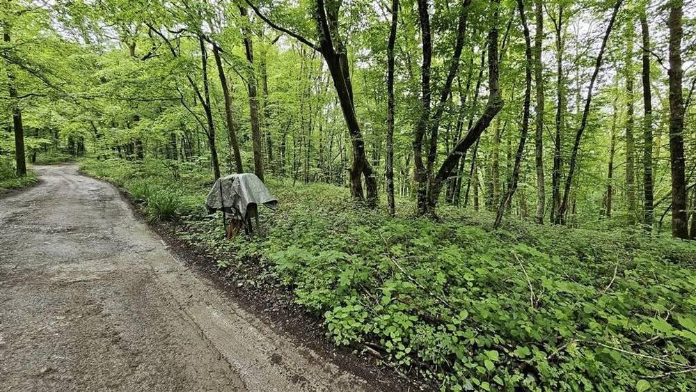 Terrain à vendre à Cerfontaine 5630 100000.00€  chambres m² - annonce 123737