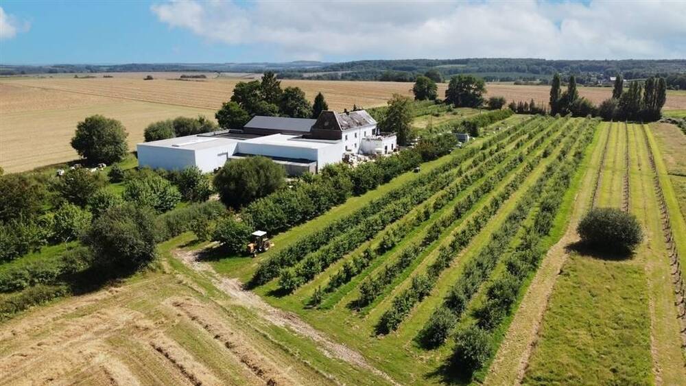 Commerce à vendre à Bouvignes-sur-Meuse 5500 1200000.00€  chambres 237.00m² - annonce 260298