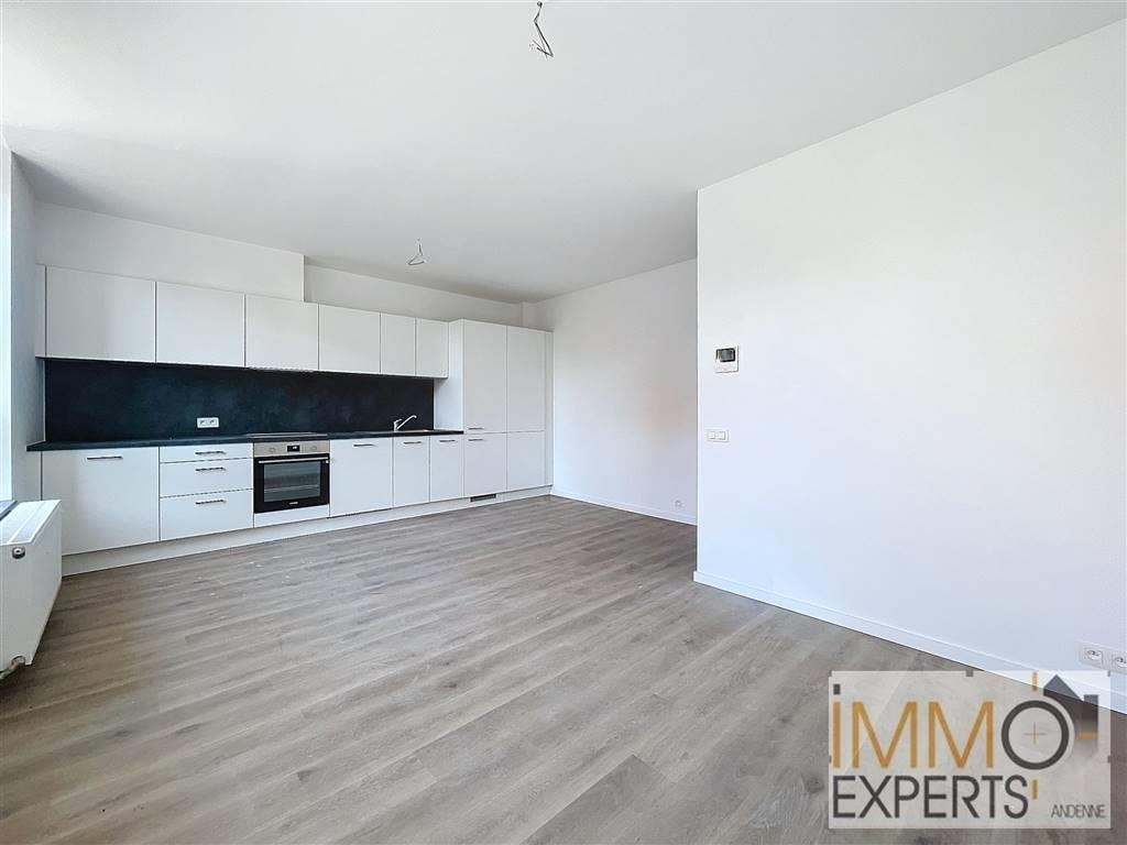 Appartement à louer à Andenne 5300 750.00€ 2 chambres 72.00m² - annonce 309345